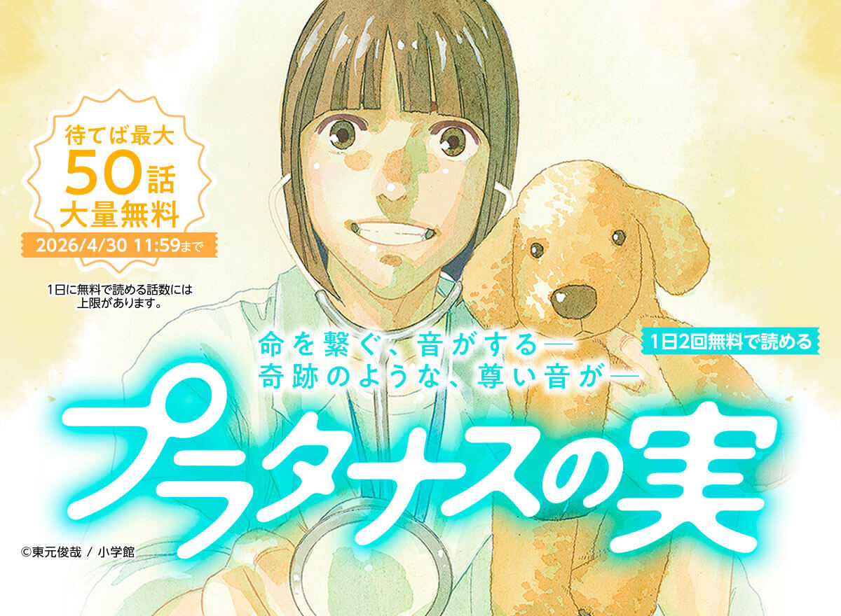 【大量無料】プラタナスの実