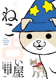 来れば? ねこ占い屋