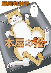 本屋の猫(あんず)