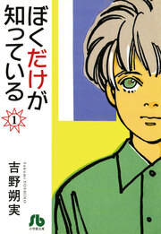 ぼくだけが知っている〔文庫〕