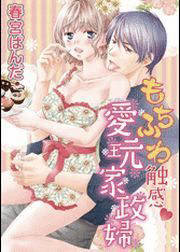 もちふわ触感愛玩家政婦