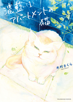 濃藍アパートメントの猫