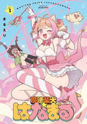 魔法柴犬★はなまる