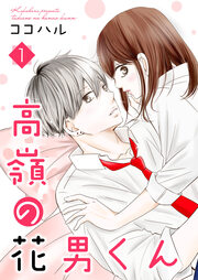高嶺の花男くん【合冊版】