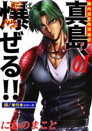 陣内流柔術流浪伝 真島、爆ぜる!!【極!単行本シリーズ】
