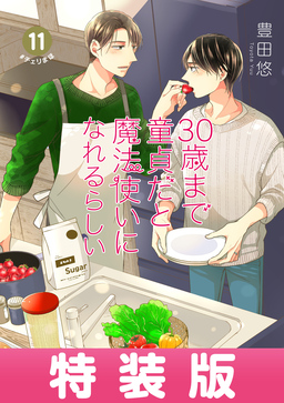 30歳まで童貞だと魔法使いになれるらしい 11巻特装版 純愛(ピュアラブ)Wedding After Party-Just married-小冊子付き【デジタル版限定特典付き】