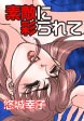 素敵に彩られて