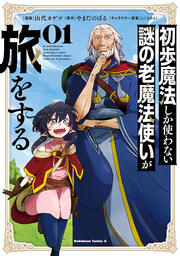 初歩魔法しか使わない謎の老魔法使いが旅をする