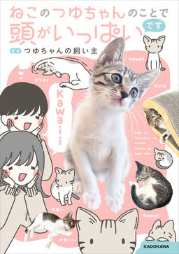 ねこのつゆちゃんのことで頭がいっぱいです