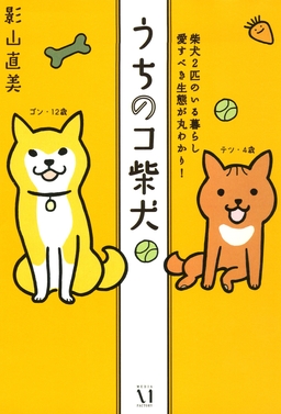 うちのコ柴犬