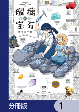 瑠璃の宝石【分冊版】
