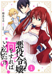 Berry’sFantasy 悪役令嬢って何をすればいいんだっけ?