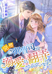 完璧御曹司の溺愛に翻弄されています!
