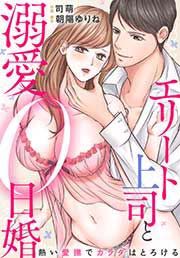 エリート上司と溺愛0日婚～熱い愛撫でカラダはとろける