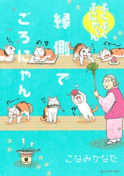 ふくふくふにゃ～ん 縁側でごろにゃん