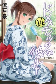 ドメスティックな彼女 特装版(14)