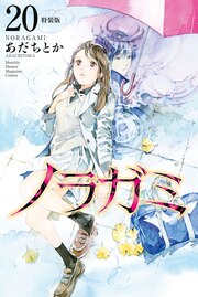 ノラガミ(20) 拾遺集 弐 付き 特装版