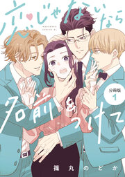 恋じゃないなら名前をつけて 分冊版