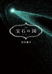 宝石の国(13) 特装版
