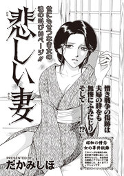 本当にあった主婦の黒い話vol.4～悲しい妻～