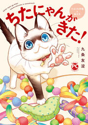 ちたにゃんがきた!てぶくろ仔猫と私たち