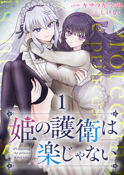 姫の護衛は楽じゃない