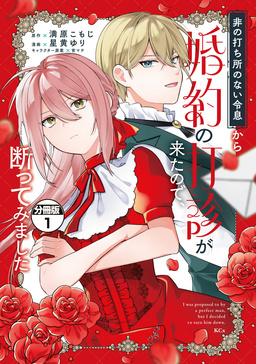 非の打ち所のない令息から婚約の打診が来たので、断ってみました 分冊版