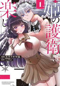 姫の護衛は楽じゃない