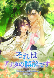 それはアナタの誤解です