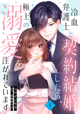 冷血弁護士と契約結婚したら、極上の溺愛を注がれています
