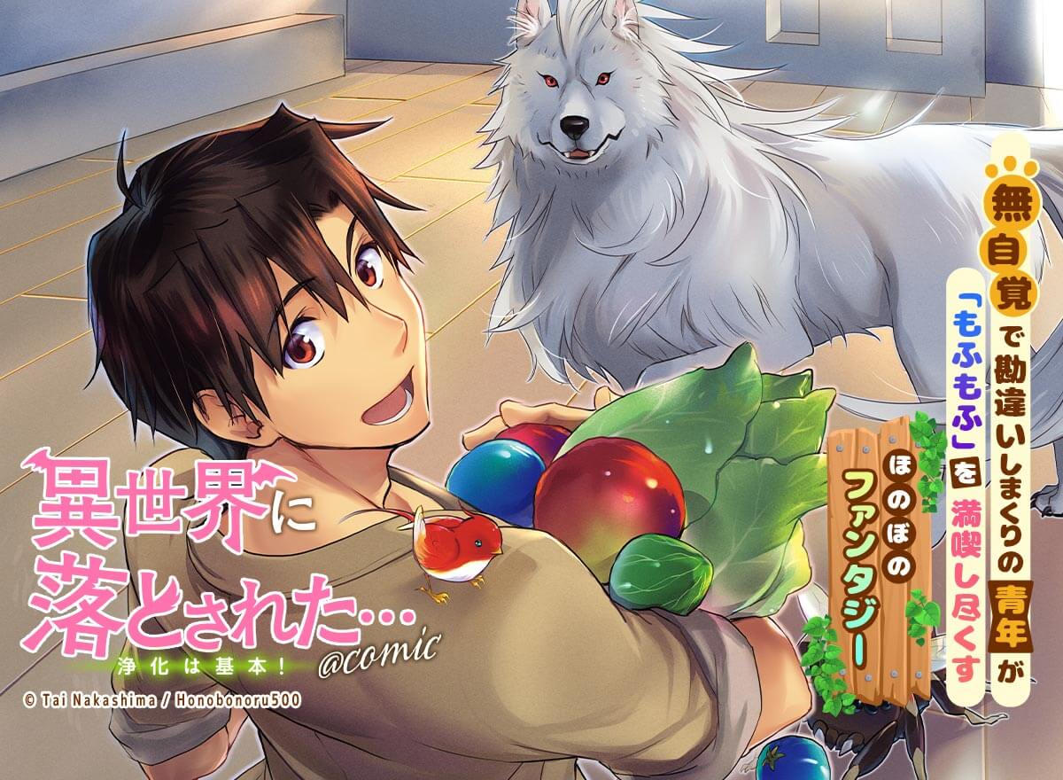 【大量無料】異世界に落とされた…浄化は基本!@COMIC