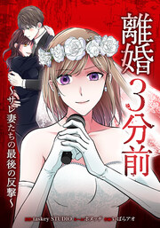 離婚3分前 ～サレ妻たちの最後の反撃～