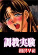 調教実験
