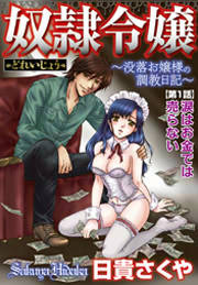 奴隷令嬢～没落お嬢様の調教日記～