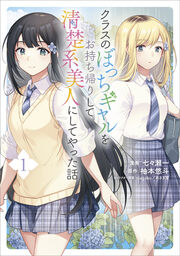 クラスのぼっちギャルをお持ち帰りして清楚系美人にしてやった話(コミック)