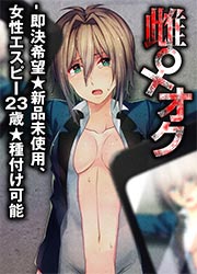 雌♀オク -即決希望★新品未使用、女性エスピー23歳★種付け可能