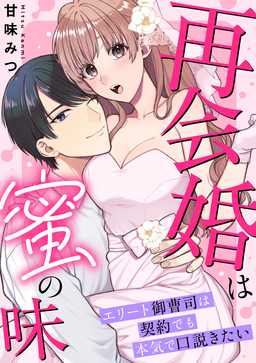再会婚は蜜の味～エリート御曹司は契約でも本気で口説きたい