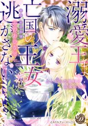 溺愛王は亡国の王女を逃がさない~ふしだらな蜜月と高潔の契り~