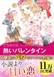 熱いバレンタイン【新装版】