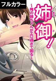 姉御!～俺の姉ちゃんがエロ過ぎて困る～【フルカラー】