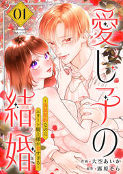 愛し子の結婚～偽装契約なのにエリート騎士様が甘すぎる～【電子単行本版/特典おまけ付き】