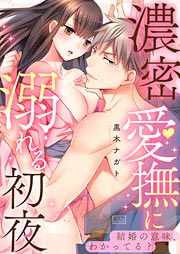 濃密愛撫に溺れる初夜～結婚の意味、わかってる?