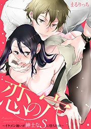 恋の穴 ~イケメン嫌いが紳士なSに堕ちた夜~