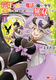 竜王に拾われて魔法を極めた少年、追放を言い渡した家族の前でうっかり無双してしまう～兄上たちが僕の仲間を攻撃するなら、徹底的にやり返します～(コミック)