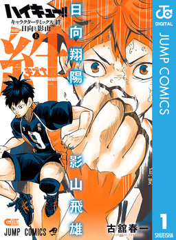 ハイキュー!! キャラクターリミックス 絆 日向と影山