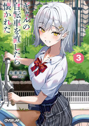 ギャルの自転車を直したら懐かれた(3巻)