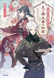 天ヶ瀬夫妻の秘密 不器用な夫の溺愛が始まる日