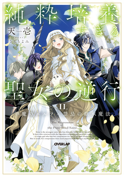 II.半魔のエルフ×禁忌の継承魔法【電子書籍限定書き下ろしSS付き】