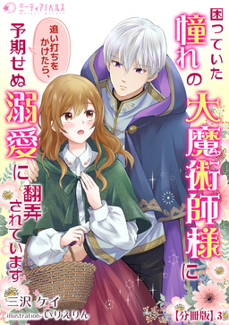 困っていた憧れの大魔術師様に追い打ちをかけたら、予期せぬ溺愛に翻弄されています【分冊版】(3巻)