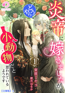 炎帝に嫁ぎましたが、どうやら小動物だと思われているようです【分冊版】(4巻)